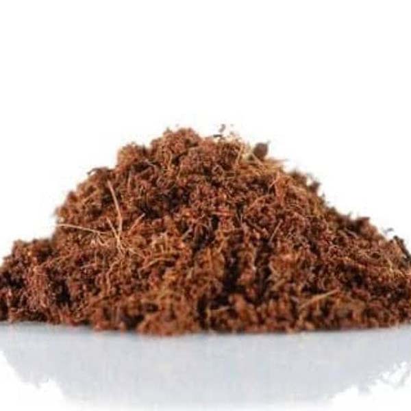 Cocosol pépinière